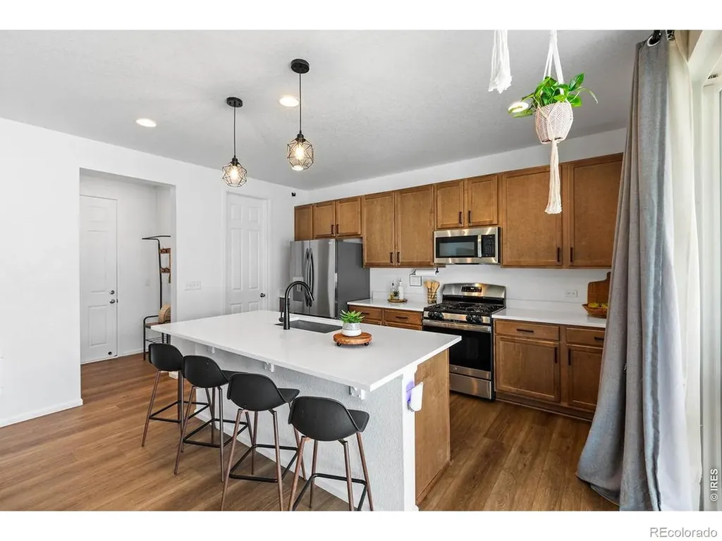 1228 Argali Drive Severance CO 80550