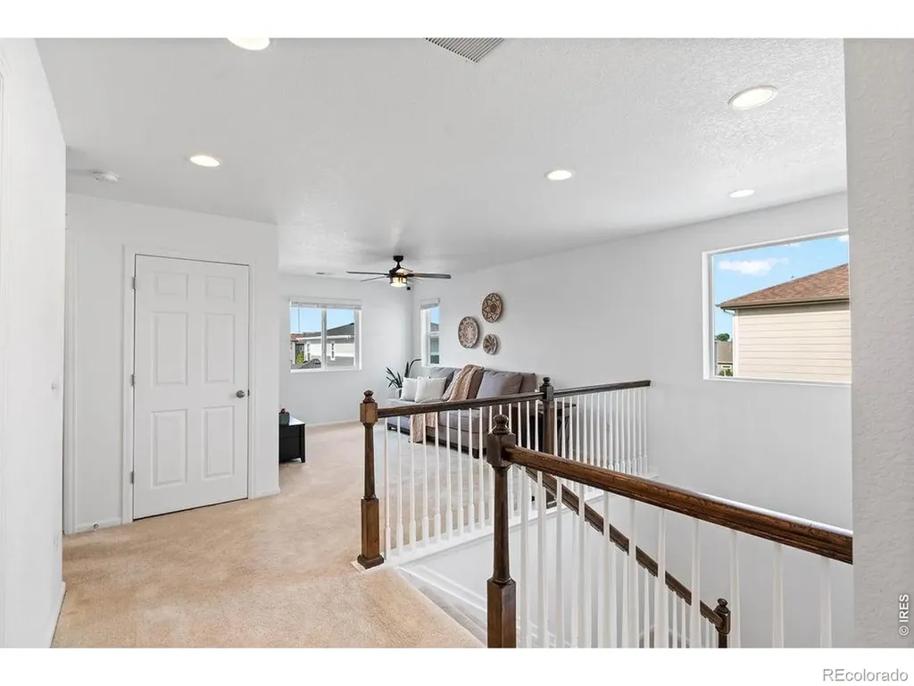 1228 Argali Drive Severance CO 80550