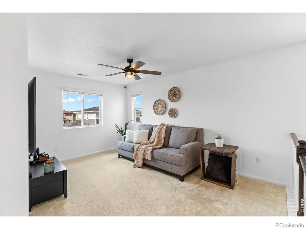 1228 Argali Drive Severance CO 80550