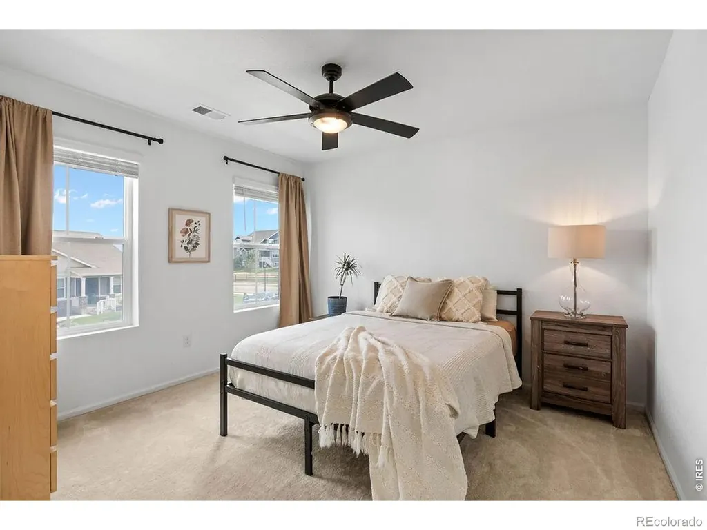 1228 Argali Drive Severance CO 80550