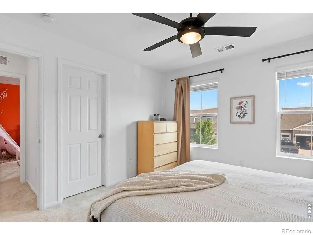 1228 Argali Drive Severance CO 80550