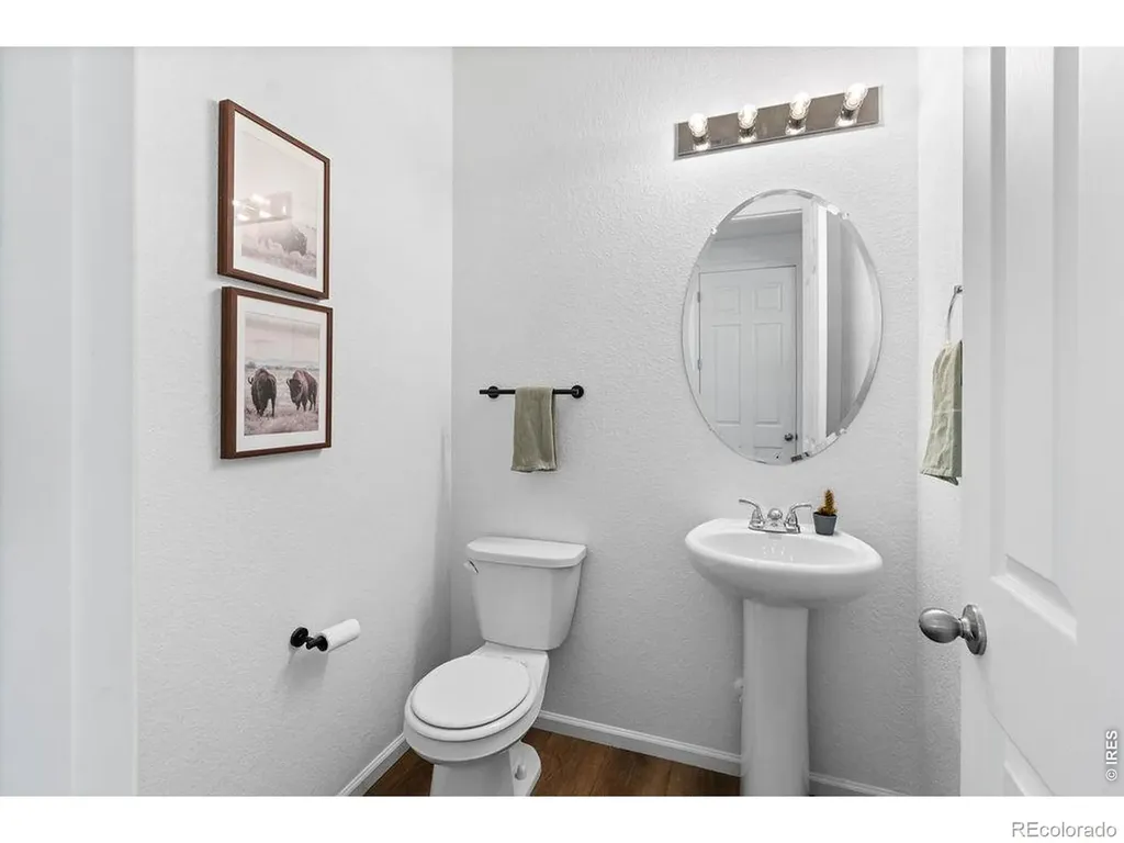 1228 Argali Drive Severance CO 80550