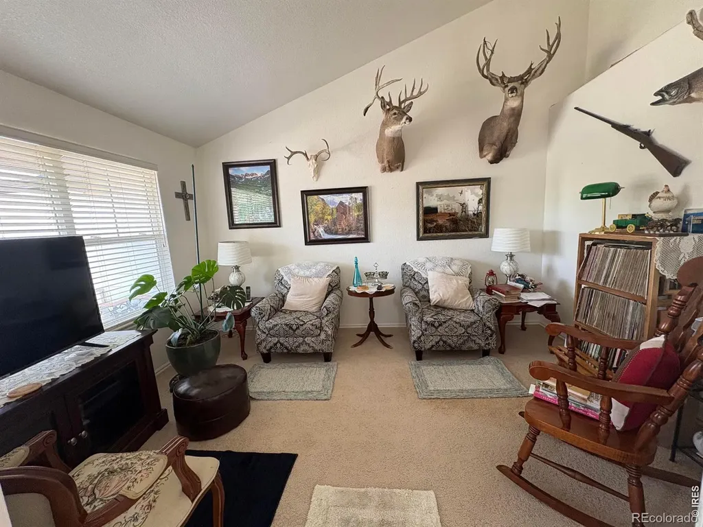 2451 E 116th Way E Thornton CO 80233