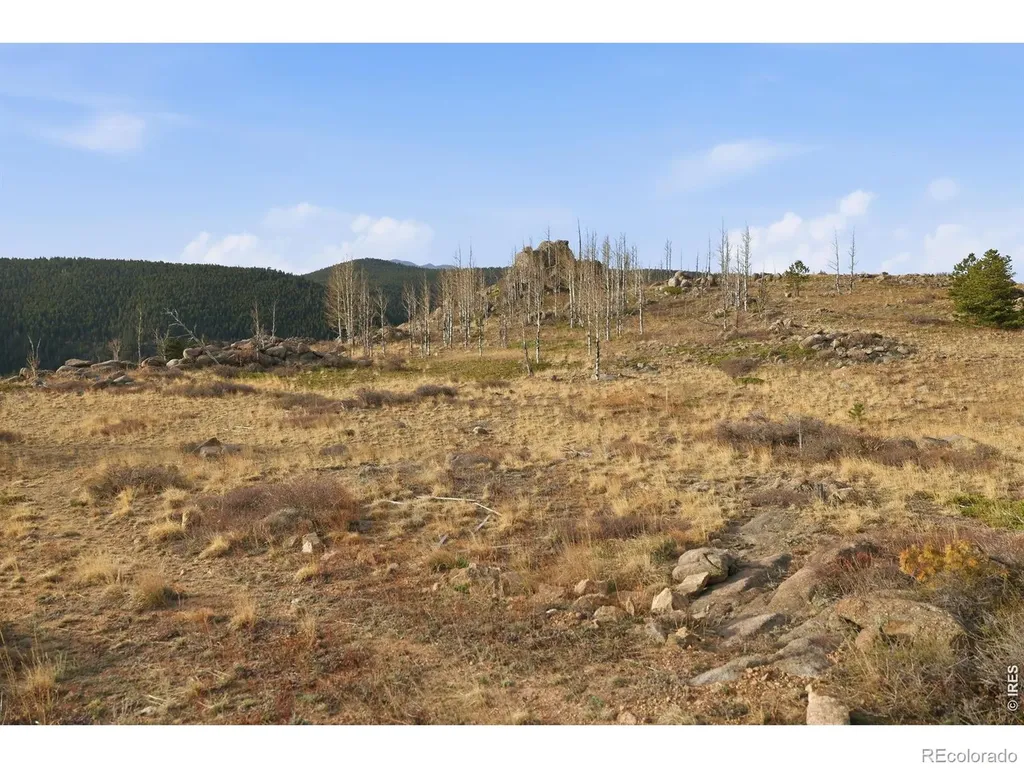 5260 Ridge Road Nederland CO 80466