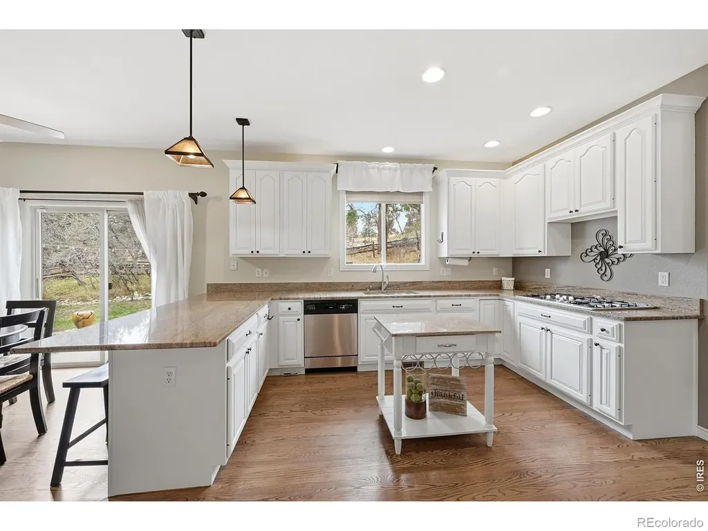 5822 Irish Pat Murphy Drive Parker CO 80134