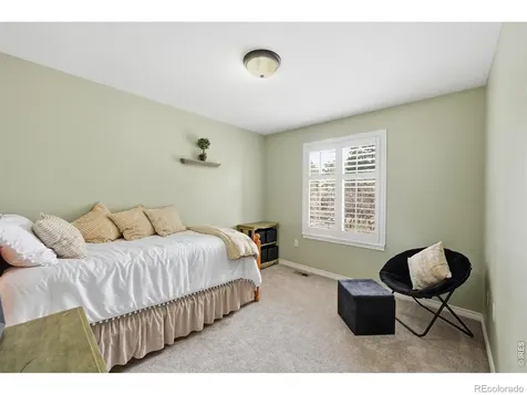 5822 Irish Pat Murphy Drive Parker CO 80134