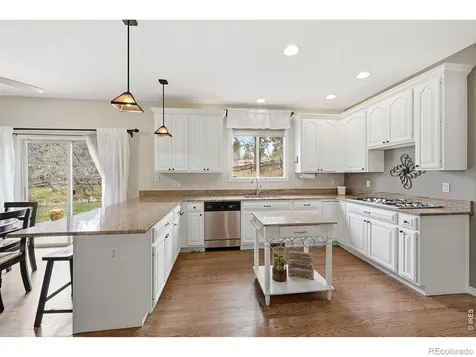 5822 Irish Pat Murphy Drive Parker CO 80134