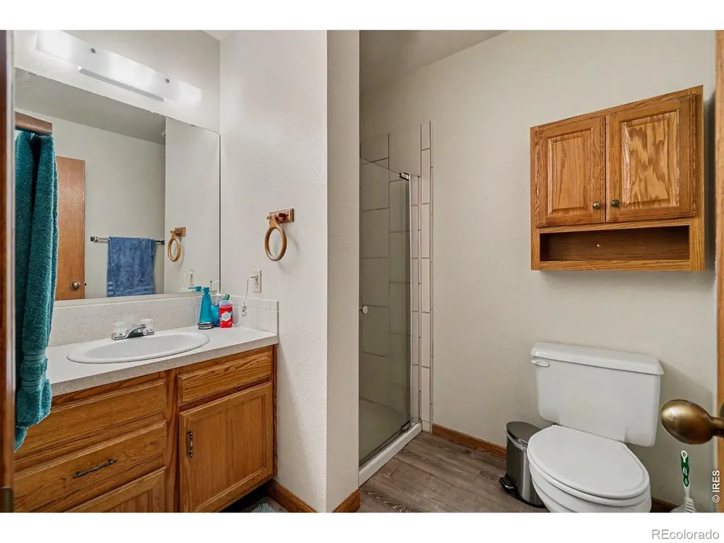 229 E 42nd Street Loveland CO 80538