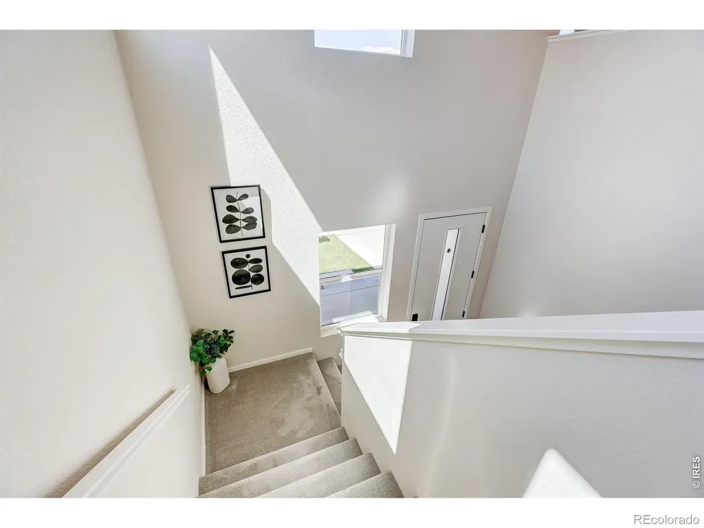 6025 Saddle Horn Drive Timnath CO 80547