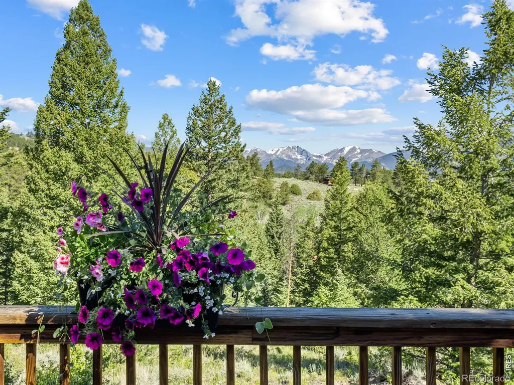 3235 Tunnel Road Estes Park CO 80517