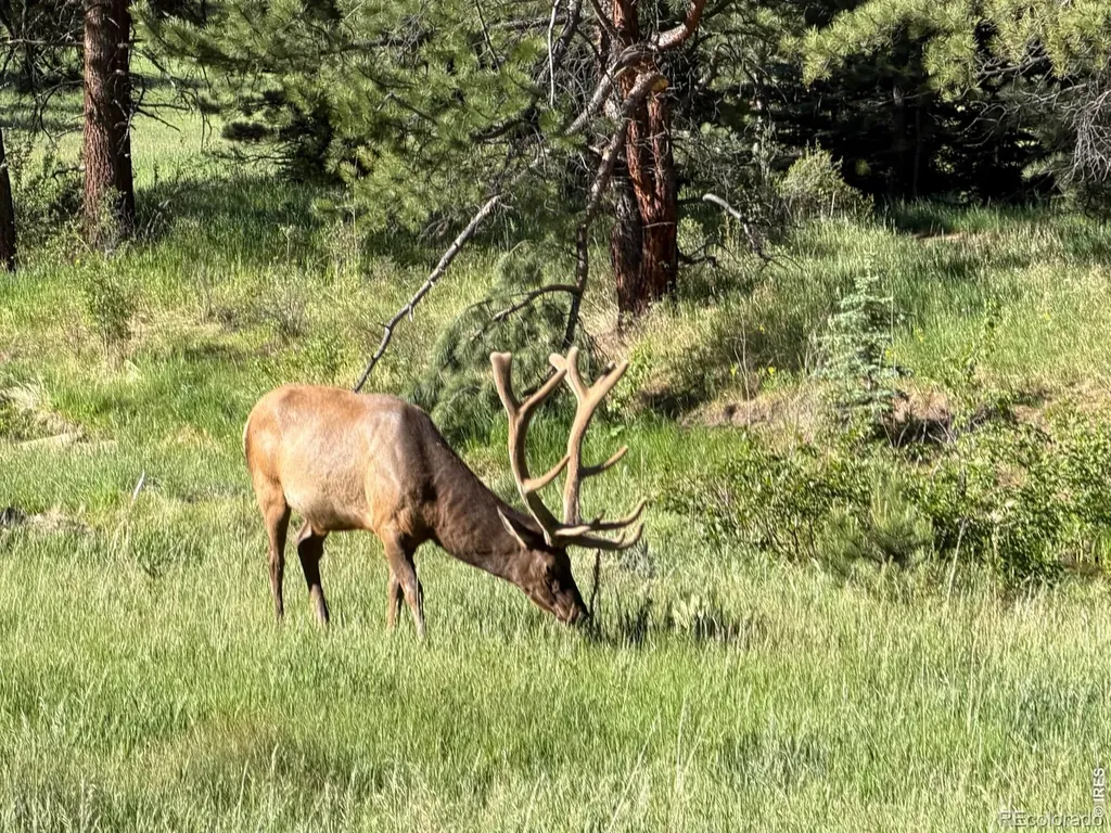 3235 Tunnel Road Estes Park CO 80517