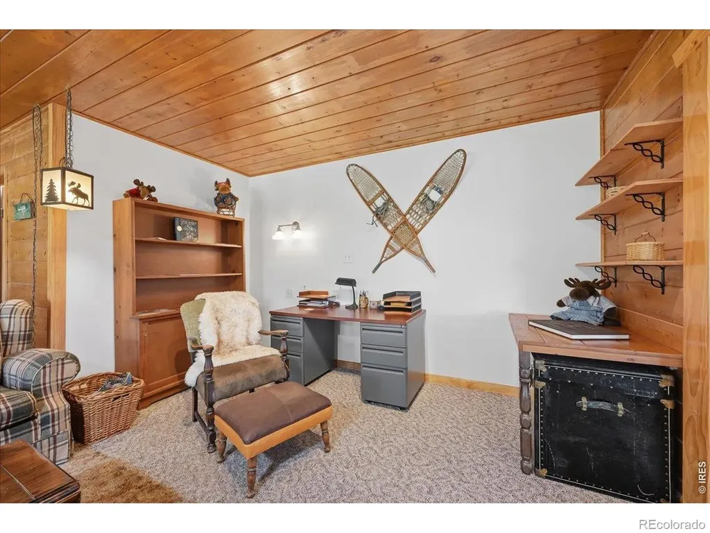 409 Shagwa Drive Red Feather Lakes CO 80545
