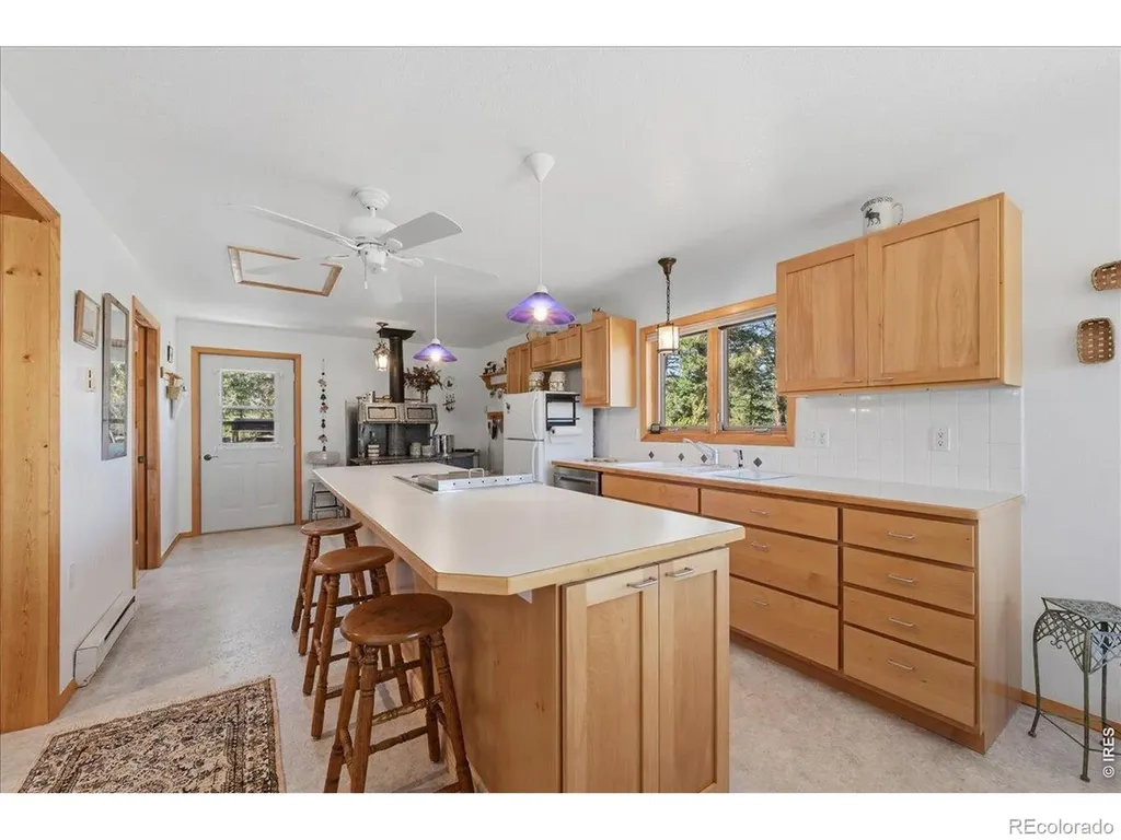 409 Shagwa Drive Red Feather Lakes CO 80545
