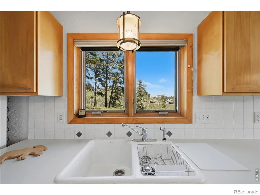 409 Shagwa Drive Red Feather Lakes CO 80545