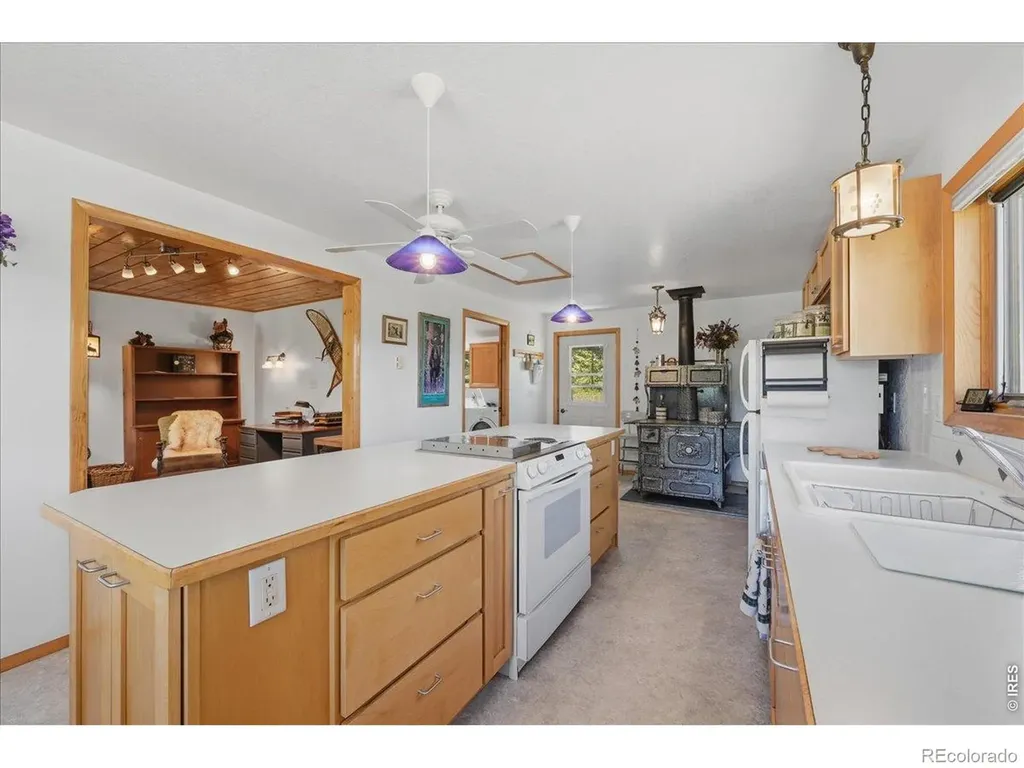 409 Shagwa Drive Red Feather Lakes CO 80545