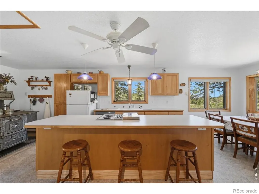 409 Shagwa Drive Red Feather Lakes CO 80545