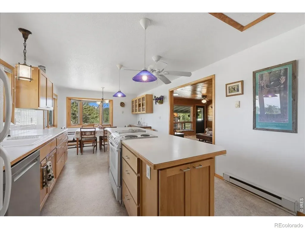409 Shagwa Drive Red Feather Lakes CO 80545