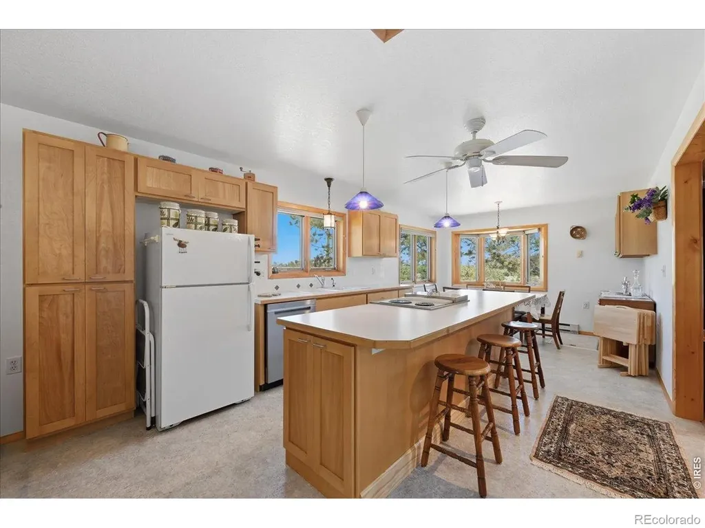 409 Shagwa Drive Red Feather Lakes CO 80545