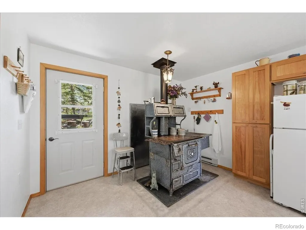 409 Shagwa Drive Red Feather Lakes CO 80545