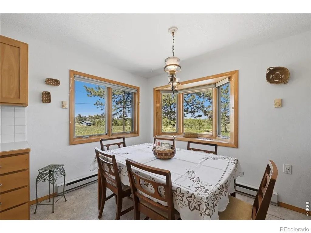 409 Shagwa Drive Red Feather Lakes CO 80545