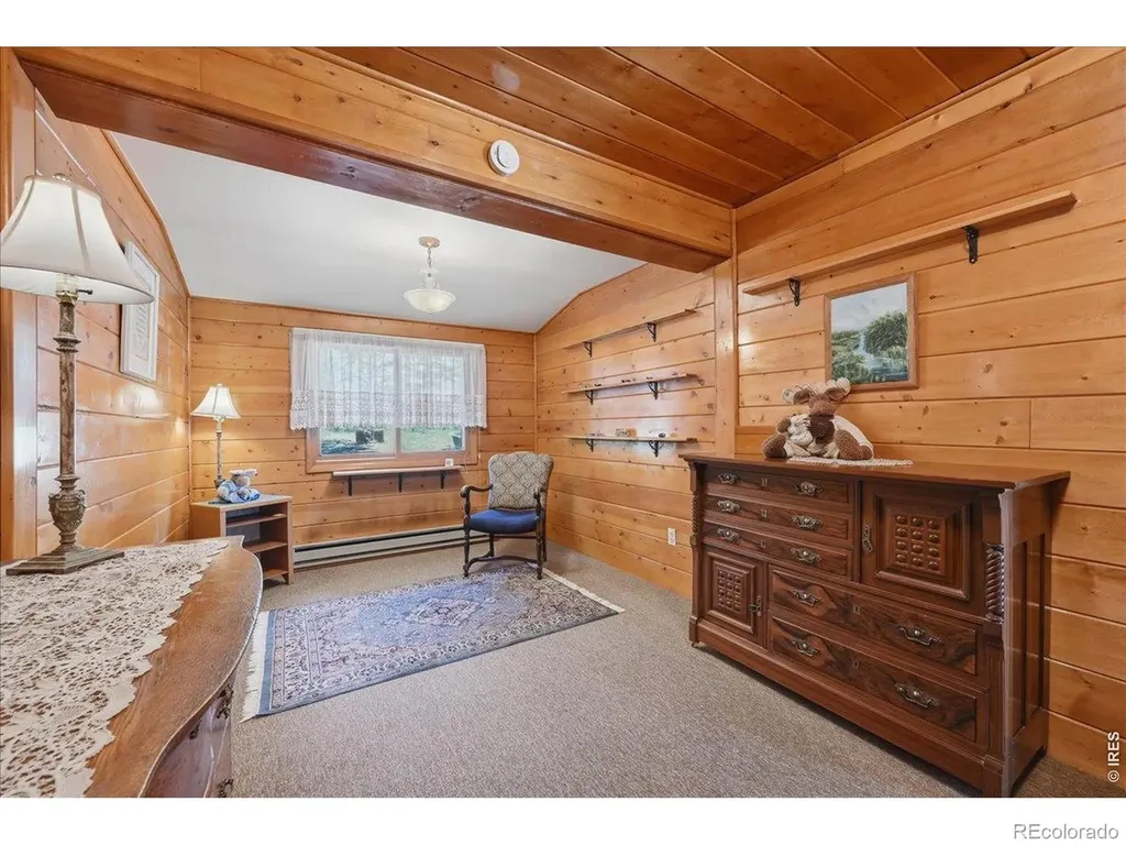 409 Shagwa Drive Red Feather Lakes CO 80545