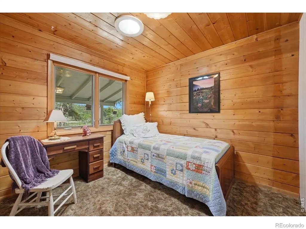 409 Shagwa Drive Red Feather Lakes CO 80545