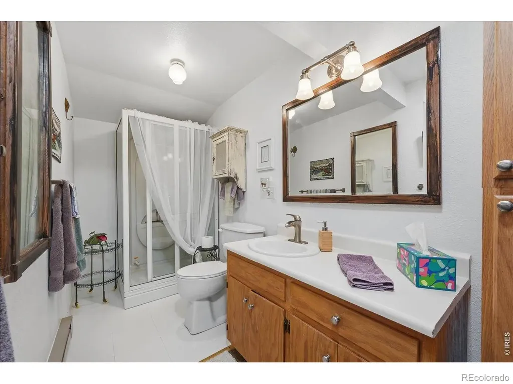 409 Shagwa Drive Red Feather Lakes CO 80545