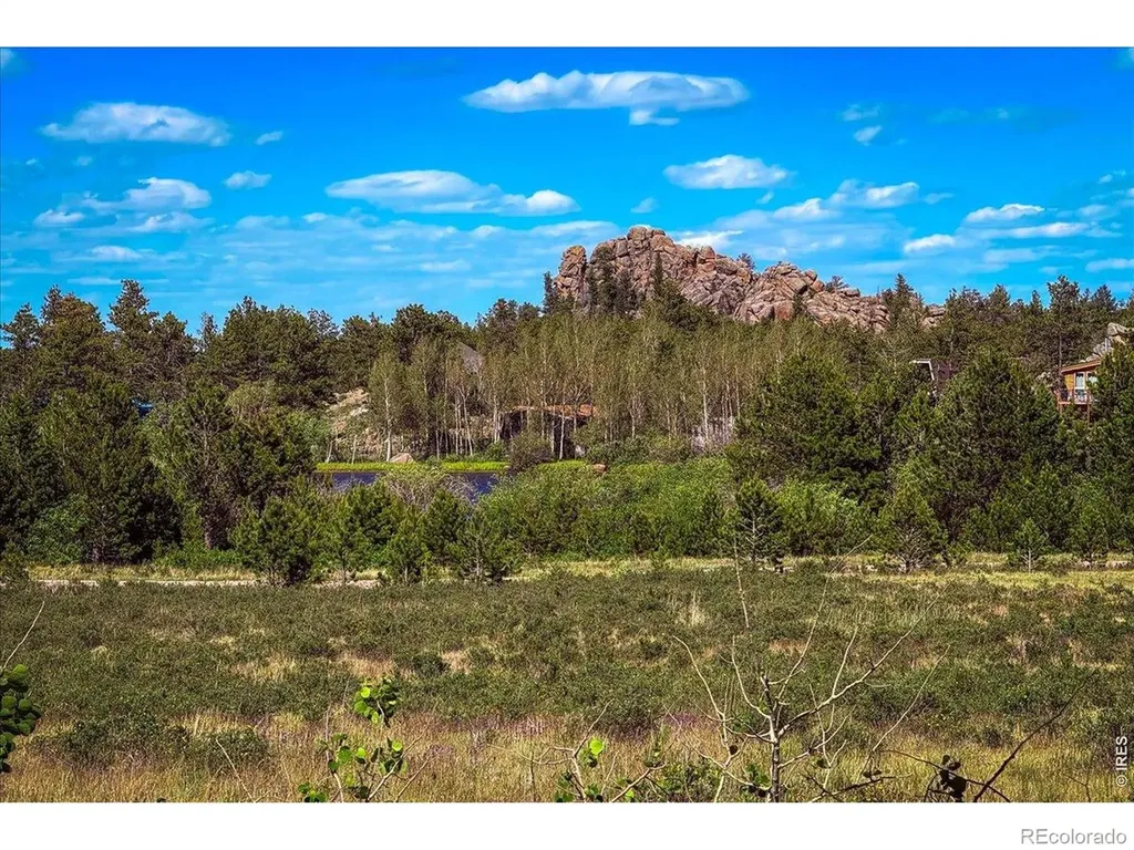 409 Shagwa Drive Red Feather Lakes CO 80545