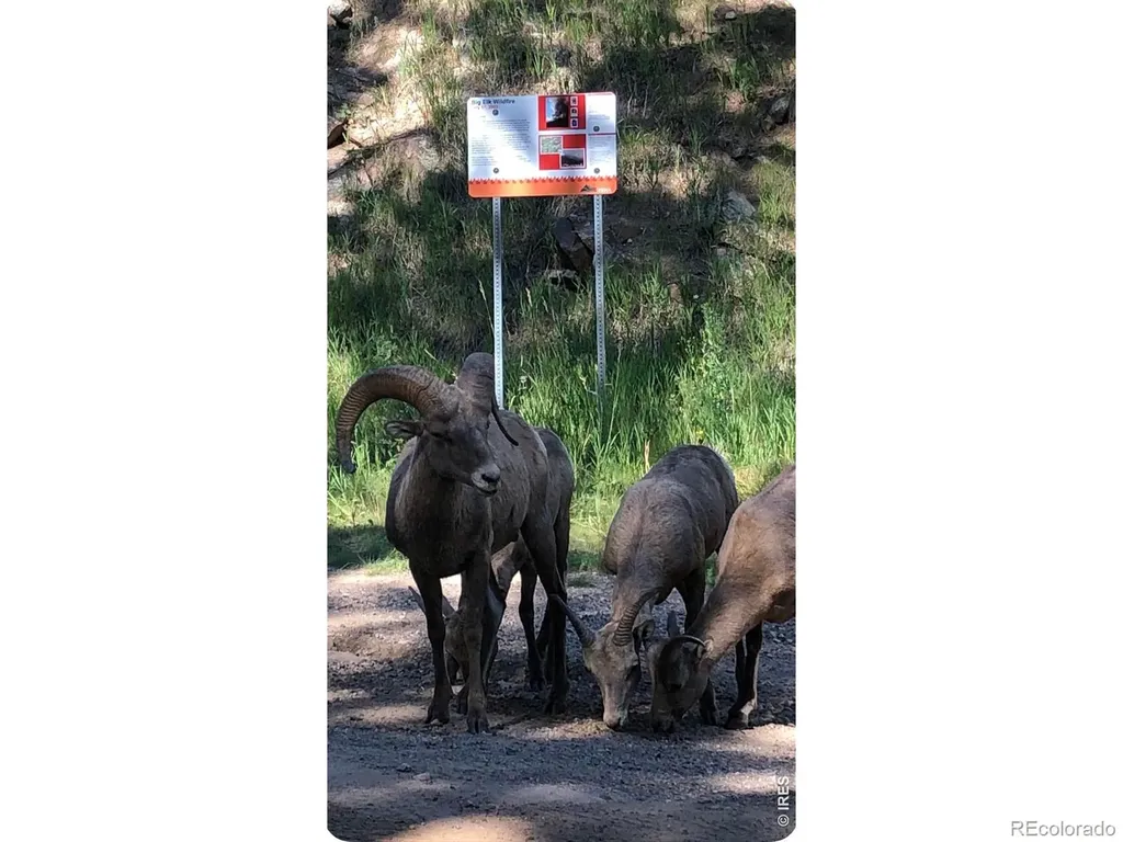 438 Aspen Drive Lyons CO 80540