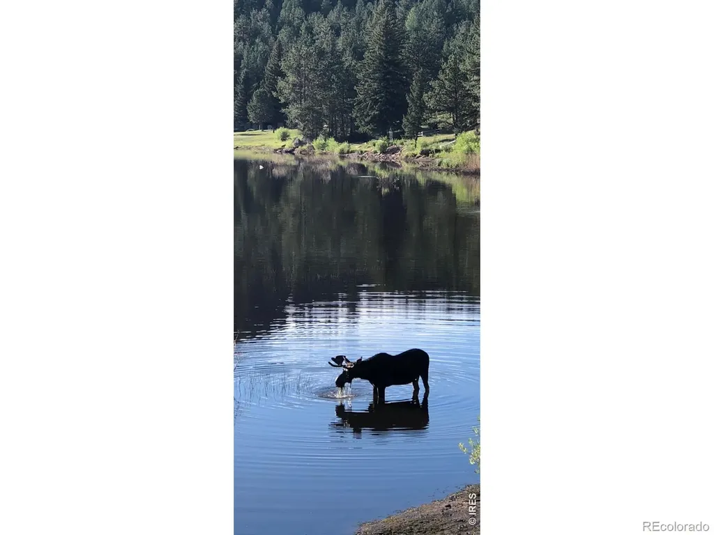 438 Aspen Drive Lyons CO 80540