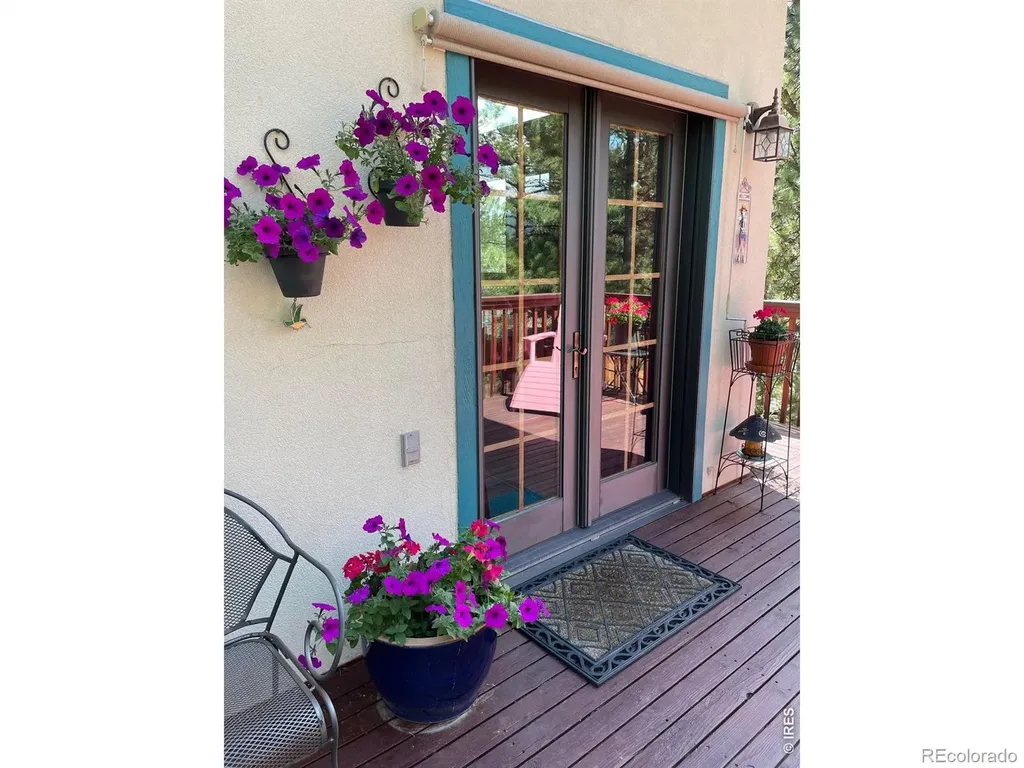 2 King Place Nederland CO 80466