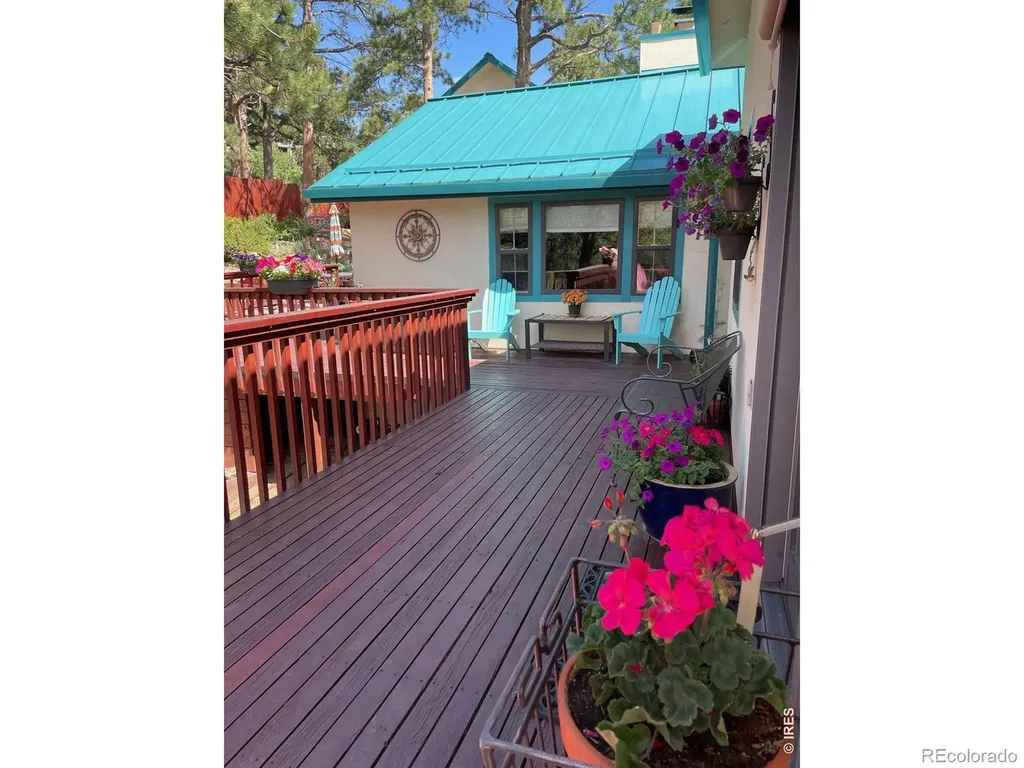 2 King Place Nederland CO 80466