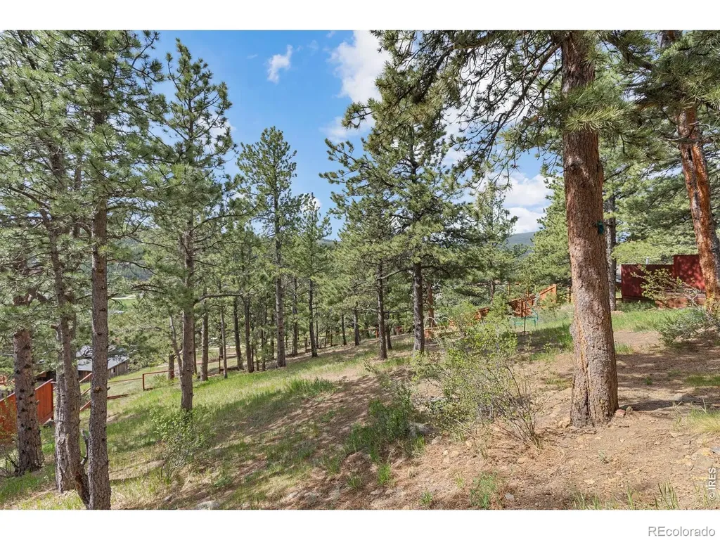 2 King Place Nederland CO 80466