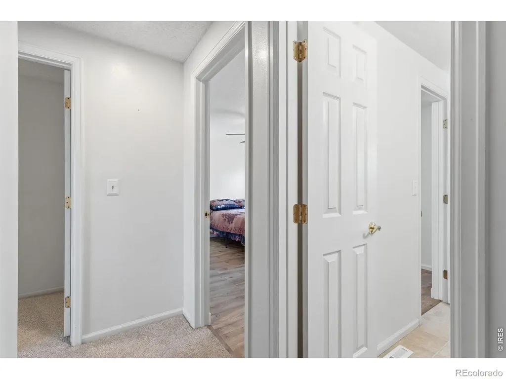 1040 White Elm Drive Loveland CO 80538