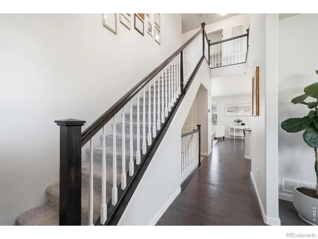 7136 Brookvalley Court Timnath CO 80547