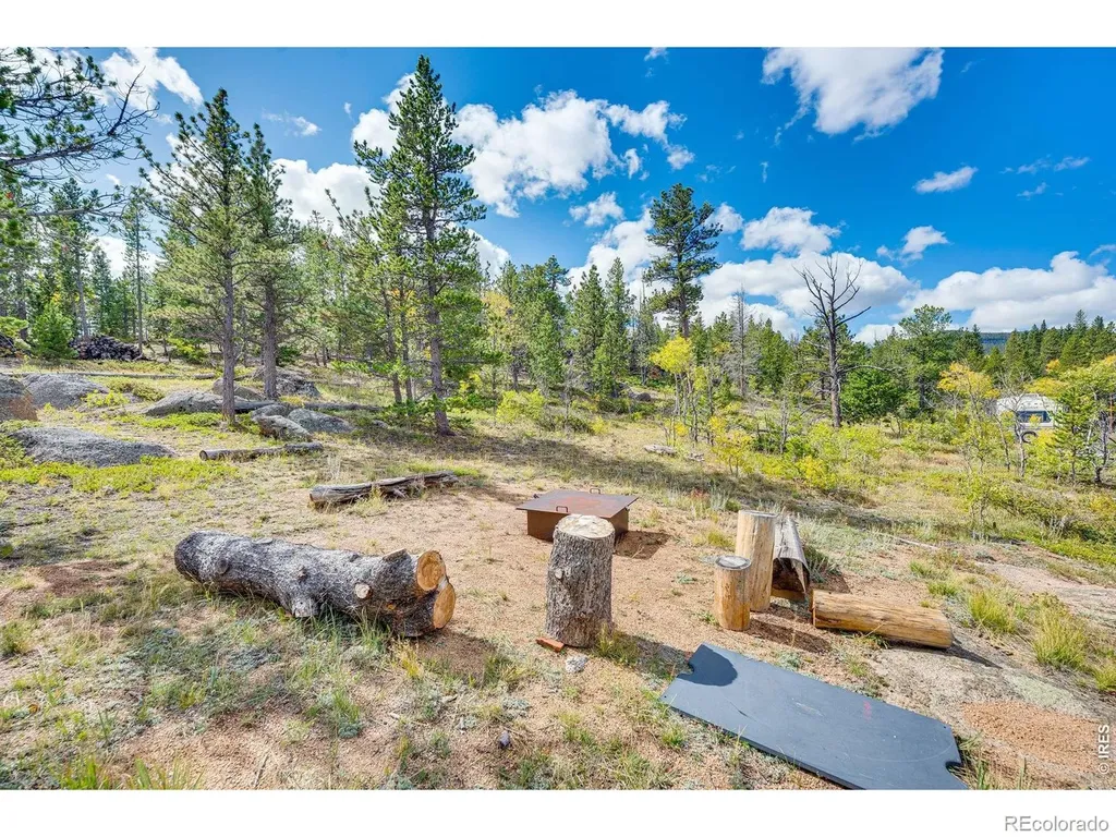 61 Tawakoni Court Red Feather Lakes CO 80545