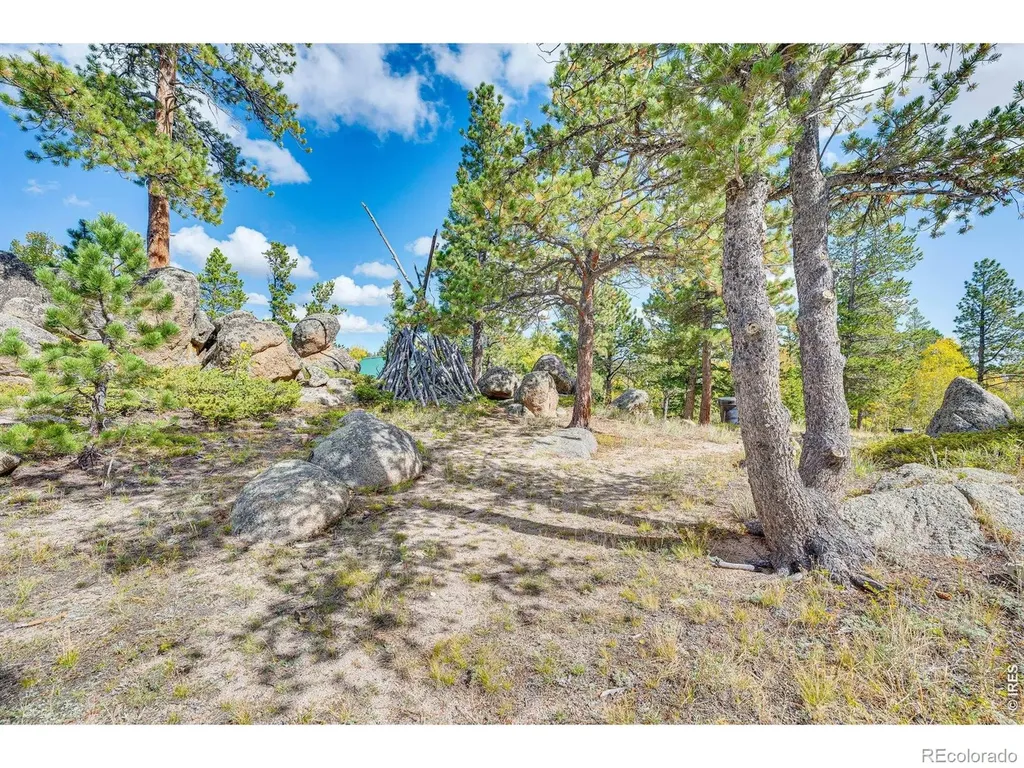 61 Tawakoni Court Red Feather Lakes CO 80545