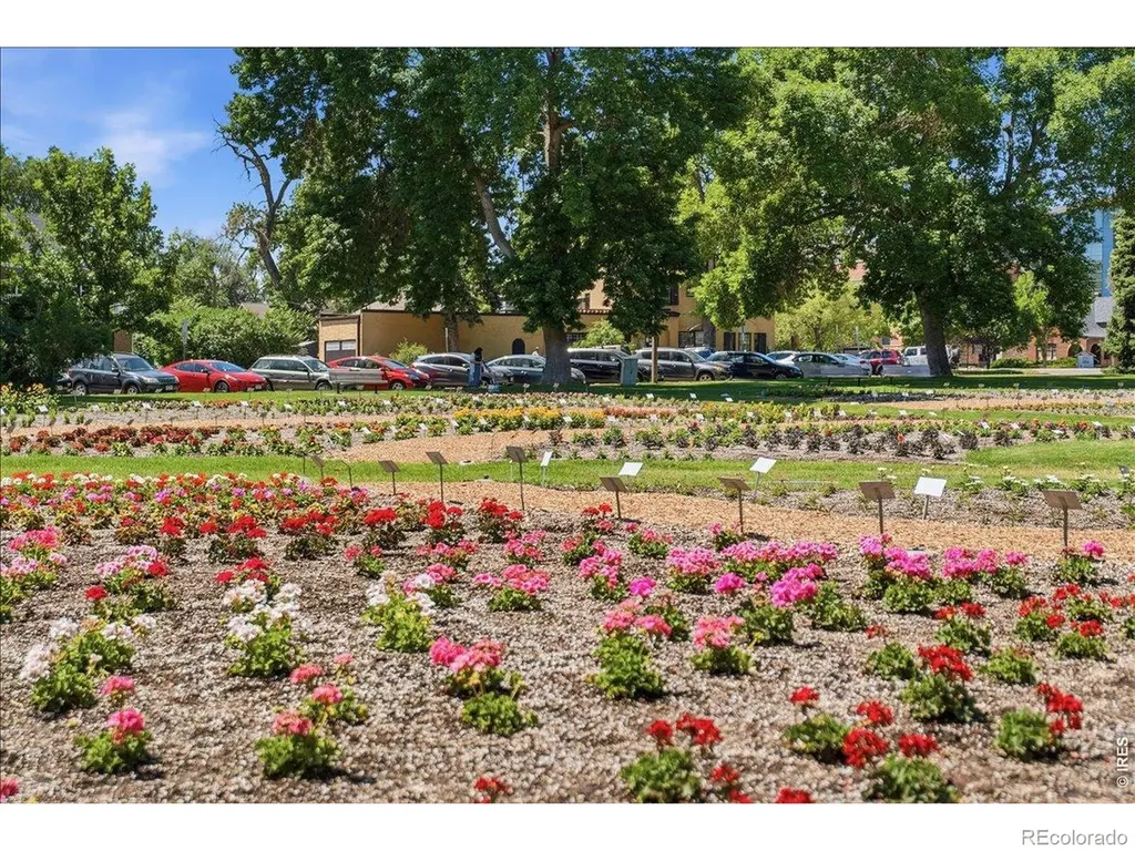 326 E Pitkin Street Fort Collins CO 80524