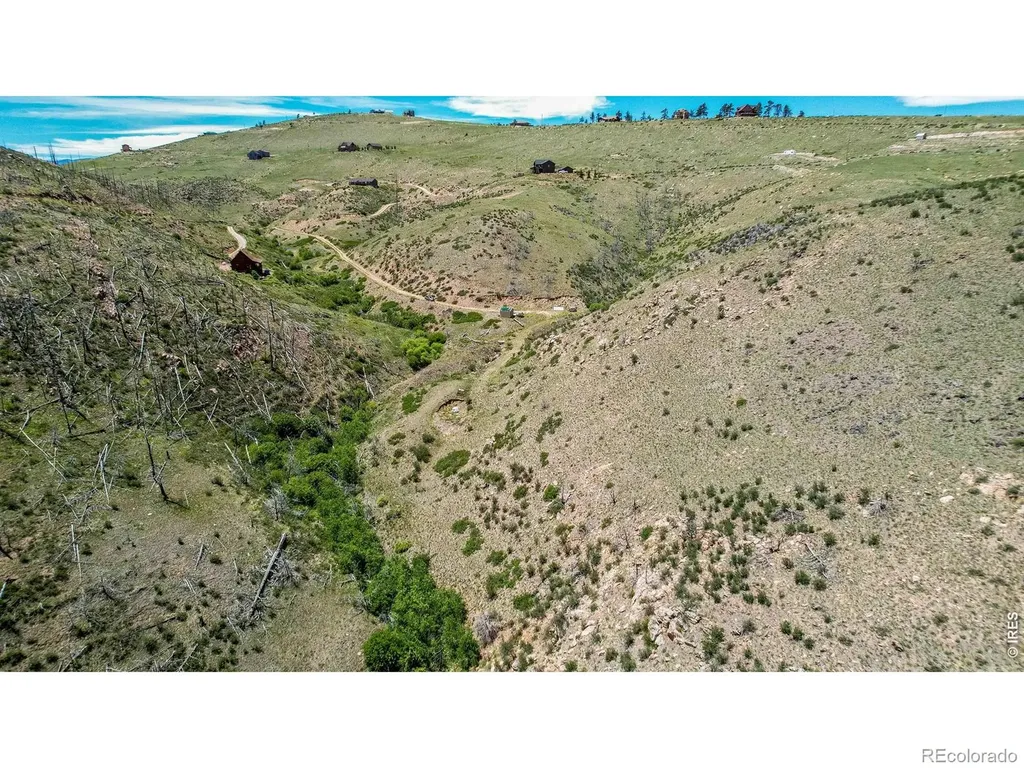 173 Grays Peak Court Livermore CO 80536