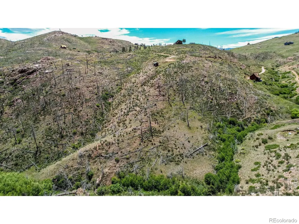 173 Grays Peak Court Livermore CO 80536