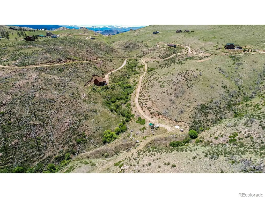 173 Grays Peak Court Livermore CO 80536