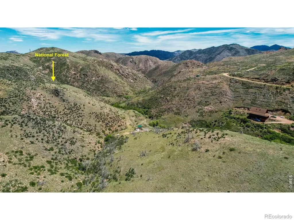 173 Grays Peak Court Livermore CO 80536