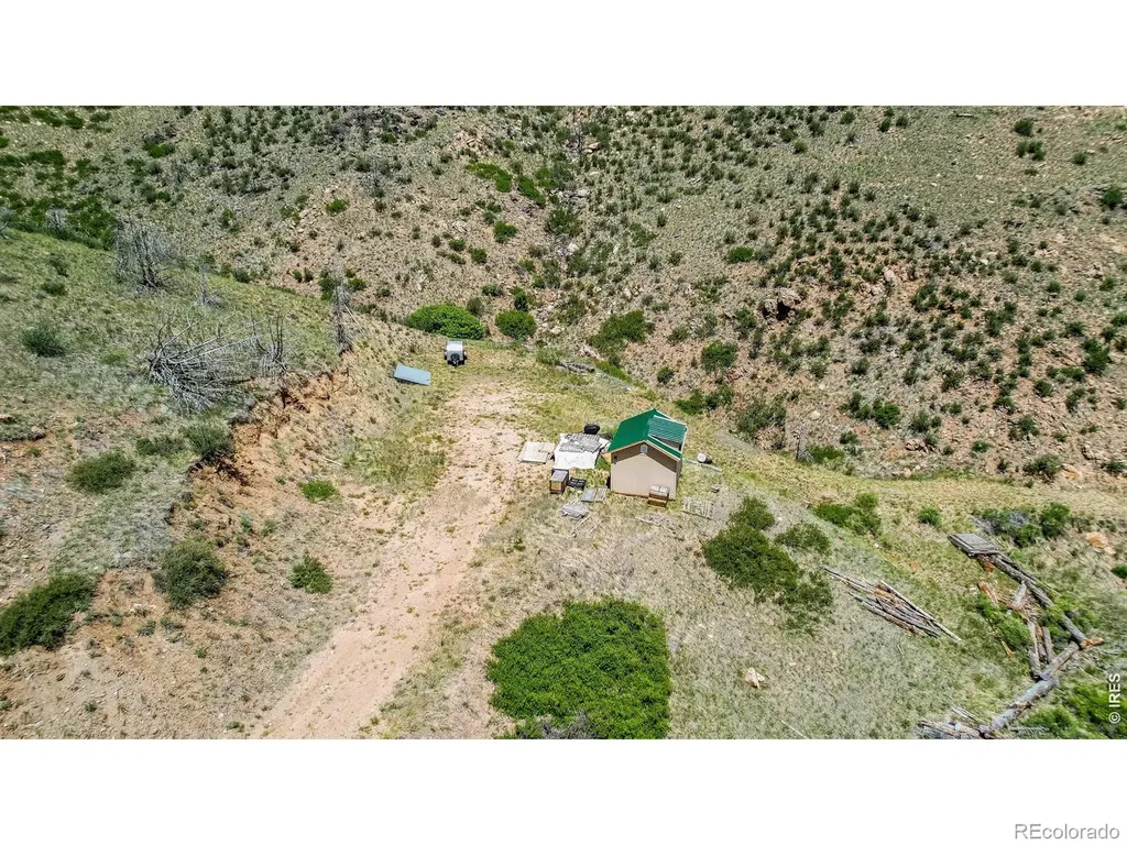 173 Grays Peak Court Livermore CO 80536