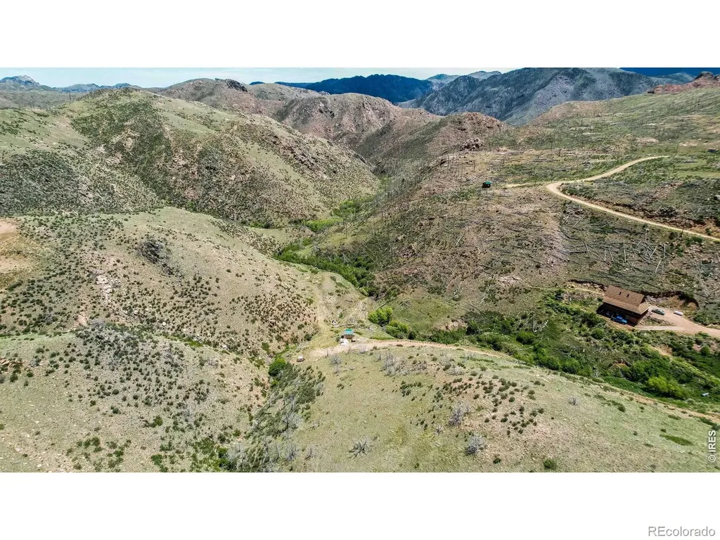 173 Grays Peak Court Livermore CO 80536