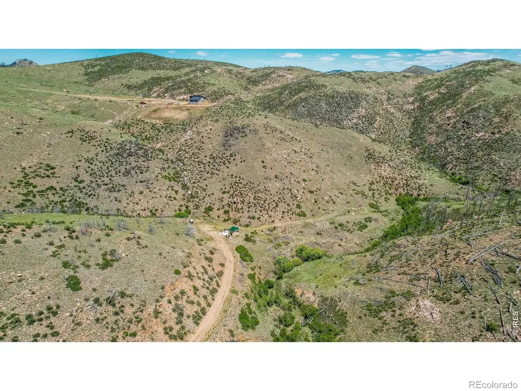 173 Grays Peak Court Livermore CO 80536
