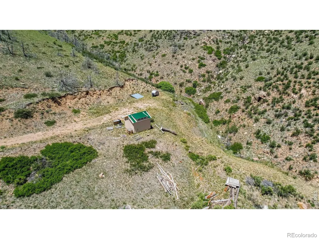 173 Grays Peak Court Livermore CO 80536
