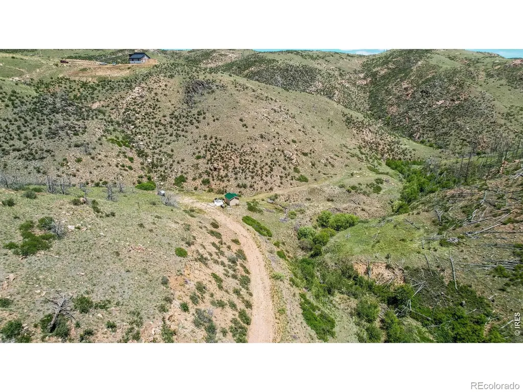 173 Grays Peak Court Livermore CO 80536