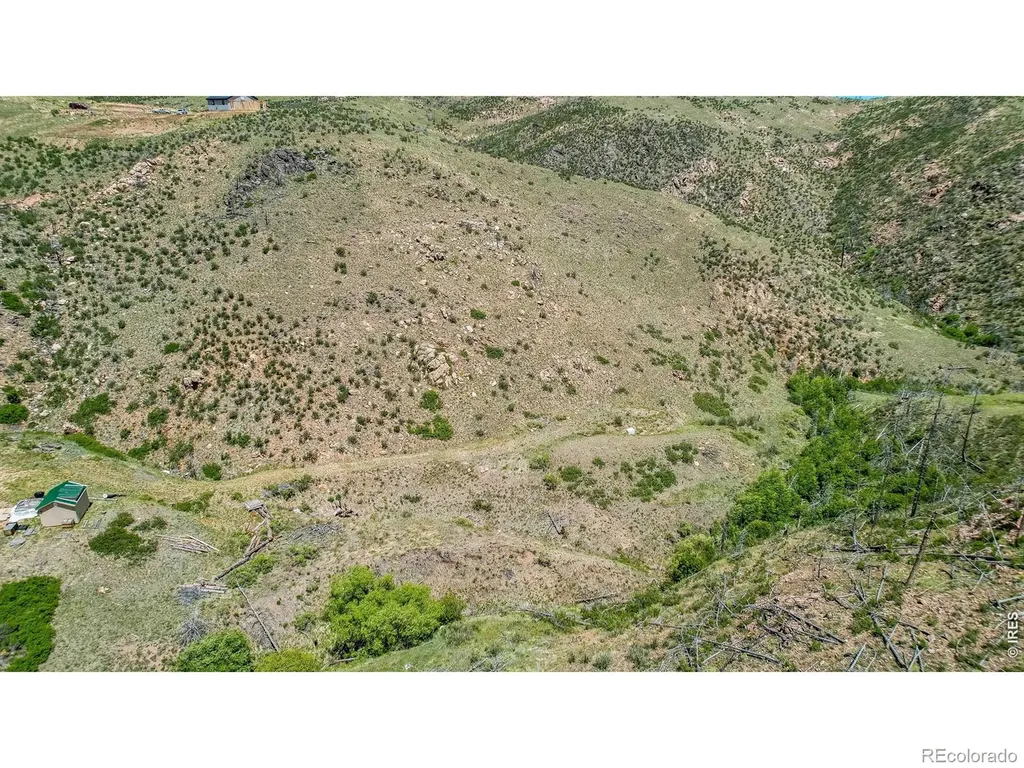 173 Grays Peak Court Livermore CO 80536