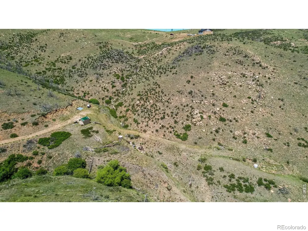 173 Grays Peak Court Livermore CO 80536