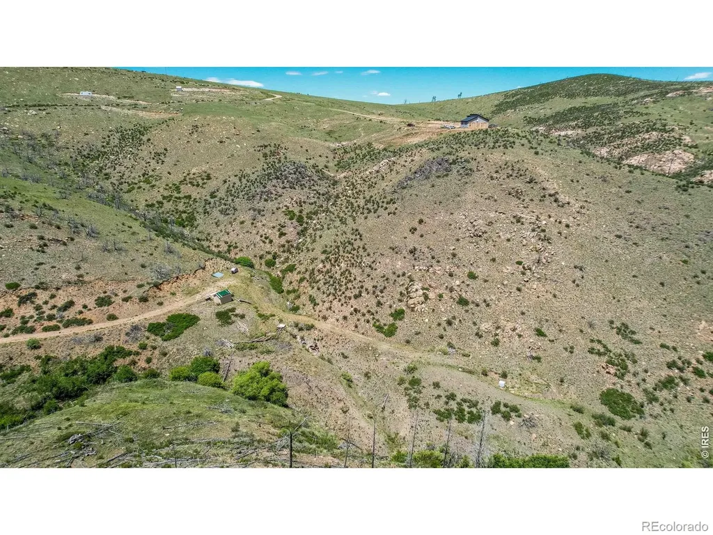 173 Grays Peak Court Livermore CO 80536